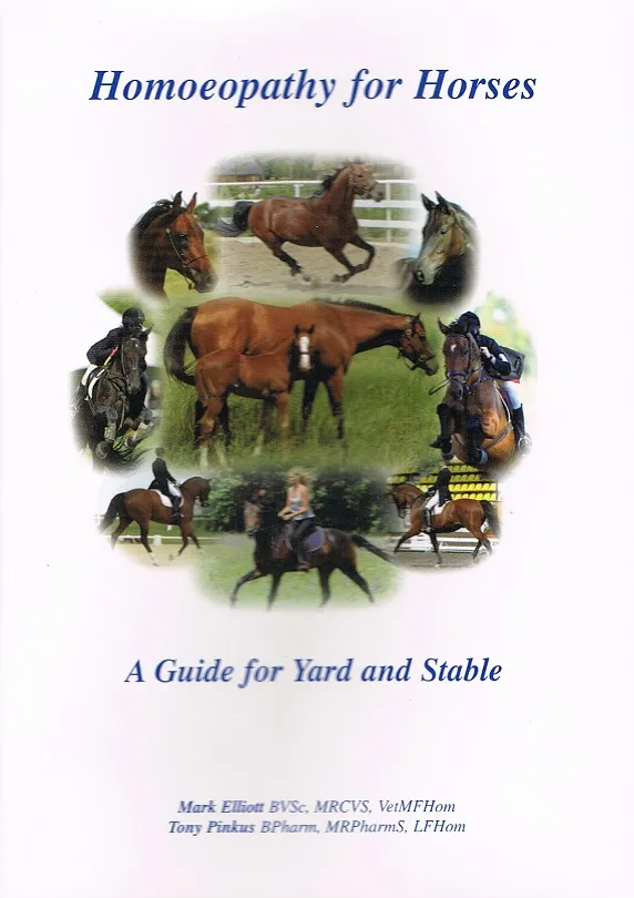 Homoeopathy for Horses